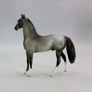 ARGON - OOAK Gray Morgan Model Horse