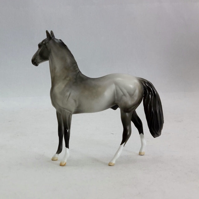 ARGON - OOAK Gray Morgan Model Horse