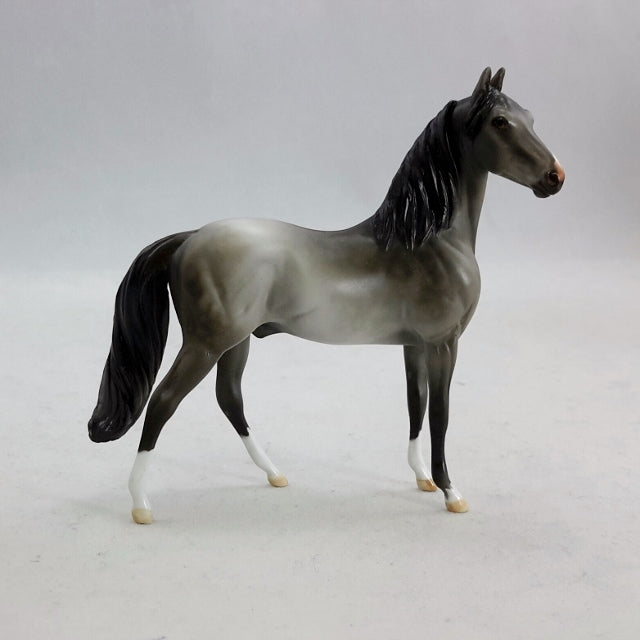 ARGON - OOAK Gray Morgan Model Horse
