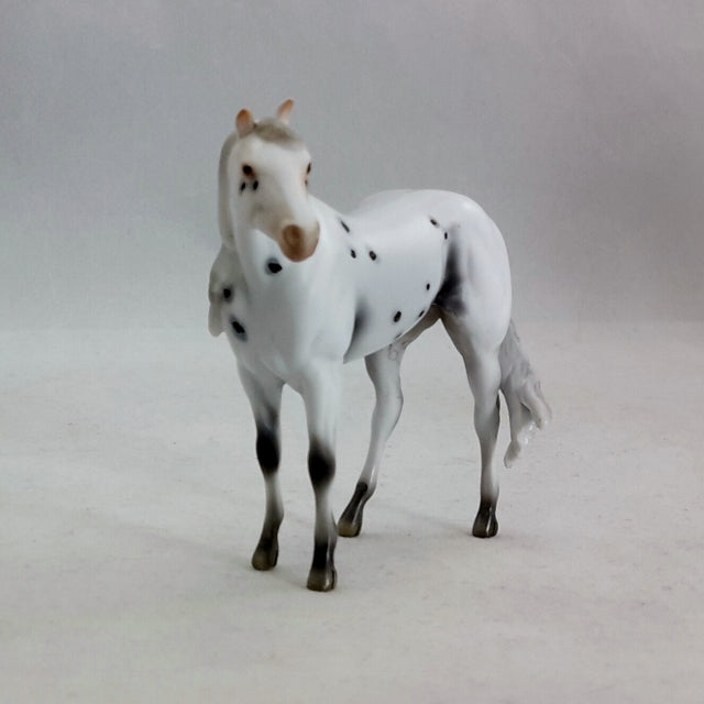 MOTH - Appaloosa Stock Horse Chip