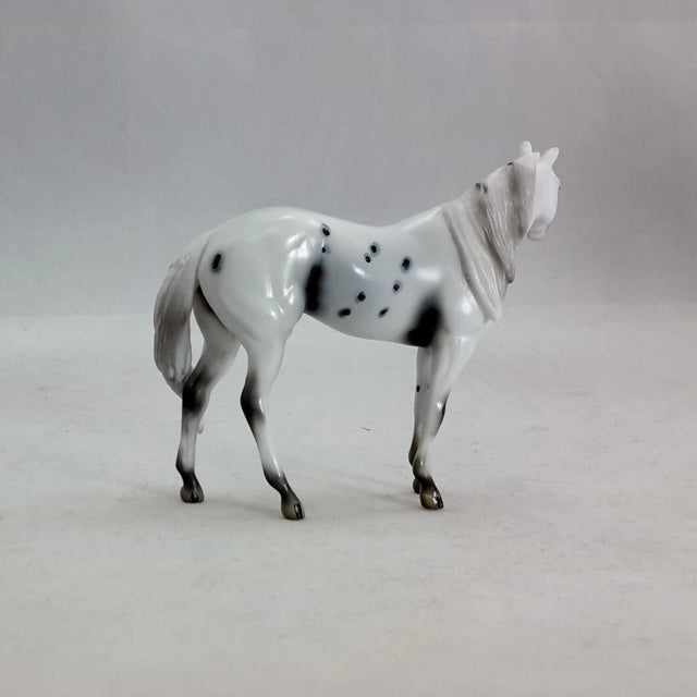 MOTH - Appaloosa Stock Horse Chip