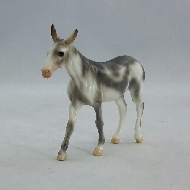 REDGUARD - Chip Appaloosa Mule Model