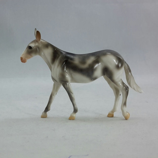 REDGUARD - Chip Appaloosa Mule Model