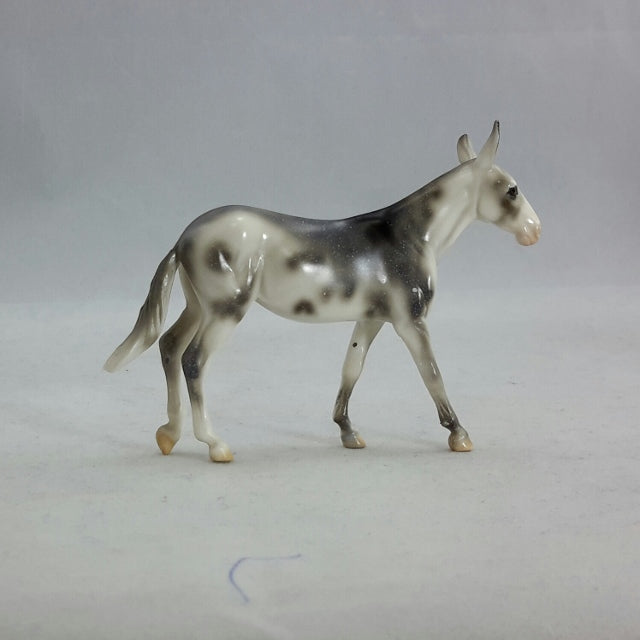 REDGUARD - Chip Appaloosa Mule Model