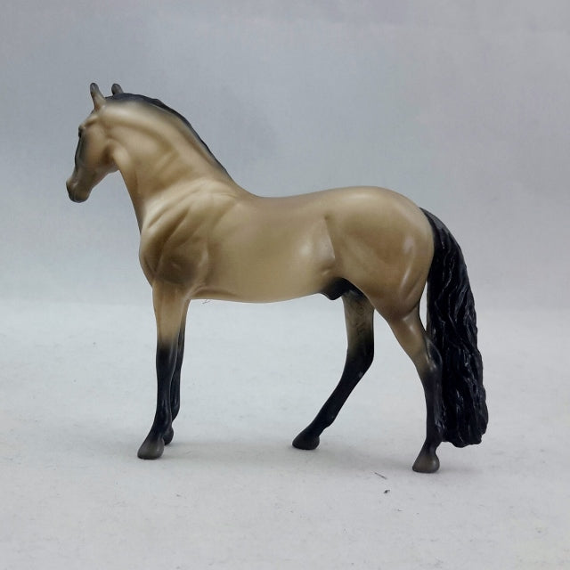 DAEDRA - Buckskin Andalusian Model Horse - Stone Chip