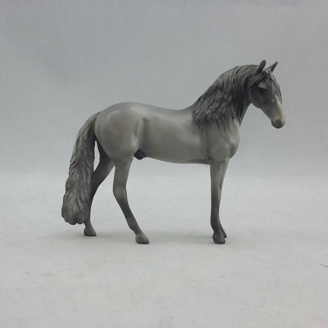 DURLAN - Gray Andalusian