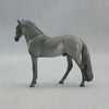 DURLAN - Gray Andalusian