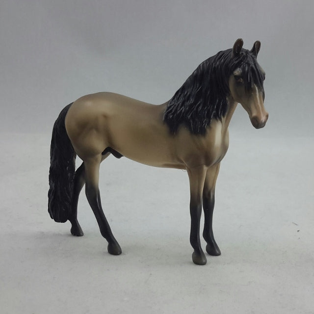 DAEDRA - Buckskin Andalusian Model Horse - Stone Chip