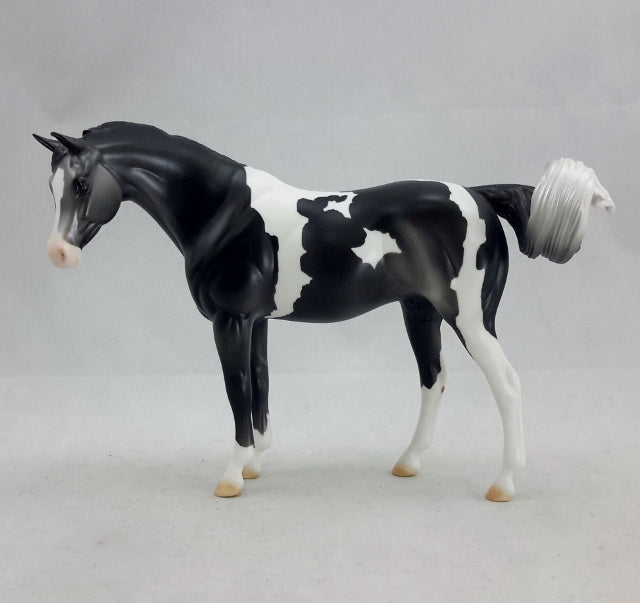 ELORA - Pinto Arabian Dark Gray Pebbles