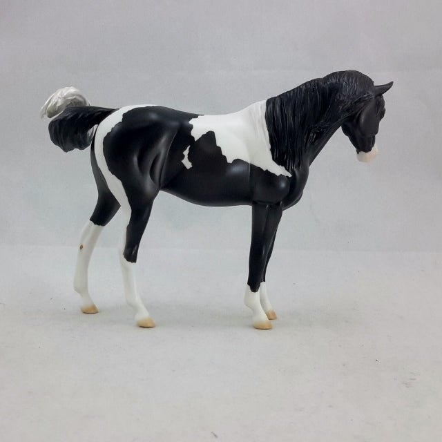 ELORA - Pinto Arabian Dark Gray Pebbles