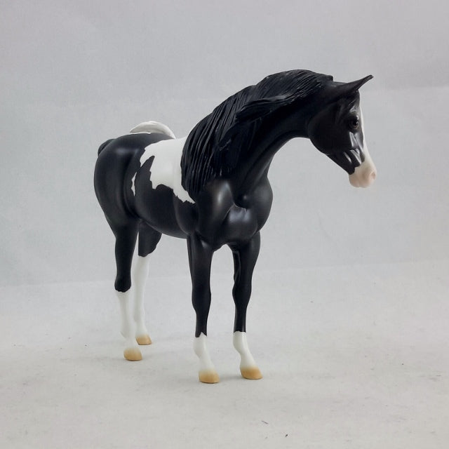 ELORA - Pinto Arabian Dark Gray Pebbles