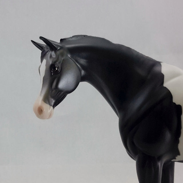 ELORA - Pinto Arabian Dark Gray Pebbles