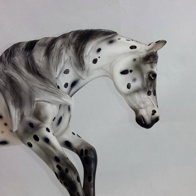 DAIN - OOAK  Appaloosa Performance Model Horse