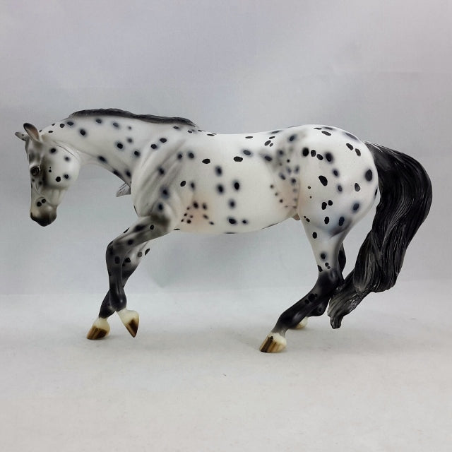 DAIN - OOAK  Appaloosa Performance Model Horse