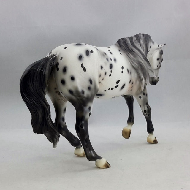 DAIN - OOAK  Appaloosa Performance Model Horse