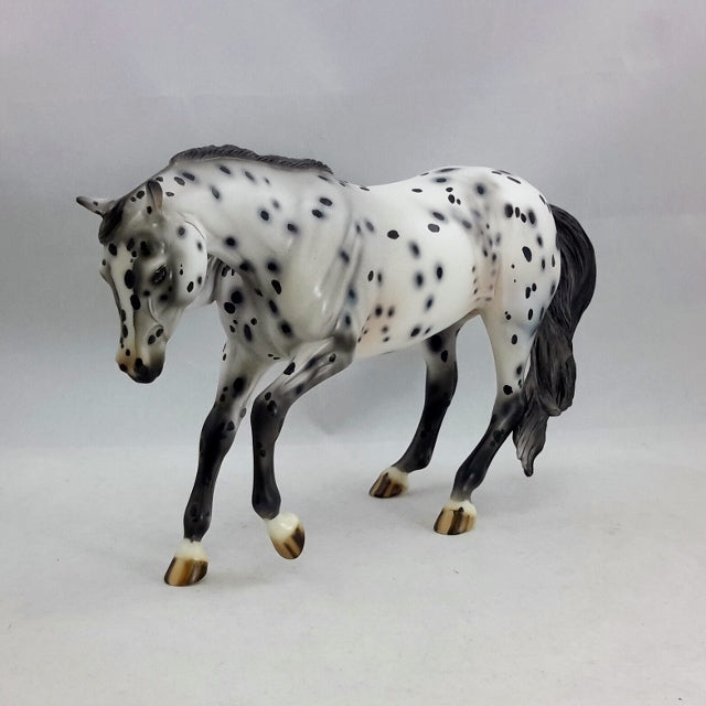 DAIN - OOAK  Appaloosa Performance Model Horse