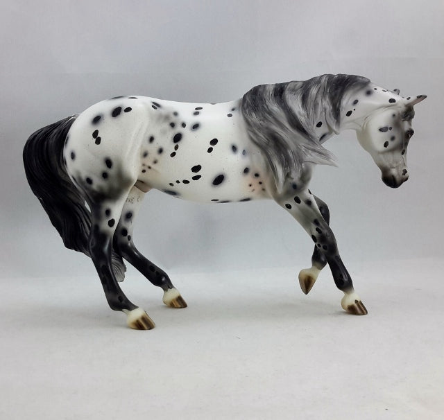 DAIN - OOAK  Appaloosa Performance Model Horse