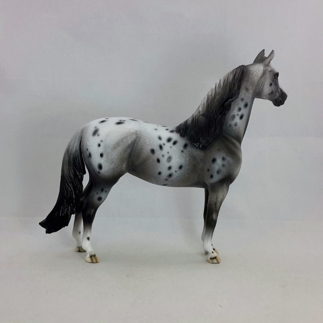 LUELLA - OOAK Leopard Appaloosa Morgan Mare