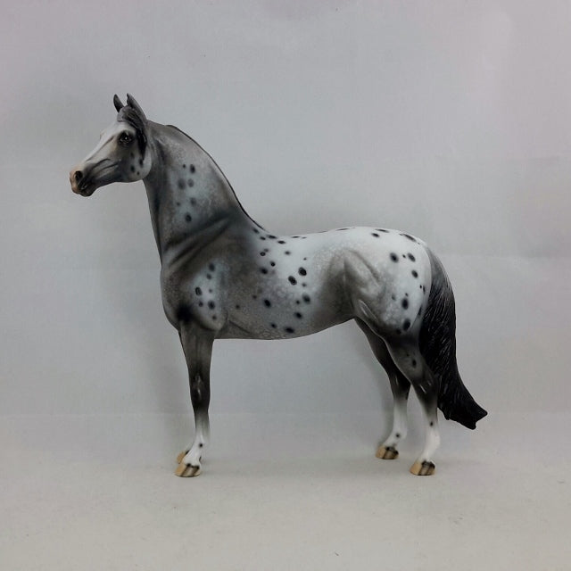 LUELLA - OOAK Leopard Appaloosa Morgan Mare