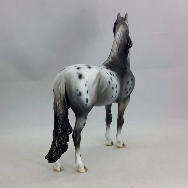 LUELLA - OOAK Leopard Appaloosa Morgan Mare