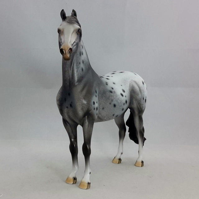 LUELLA - OOAK Leopard Appaloosa Morgan Mare