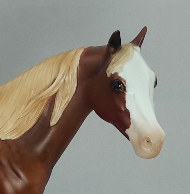 KIP - OOAK Dapple Sorrel Stock Horse
