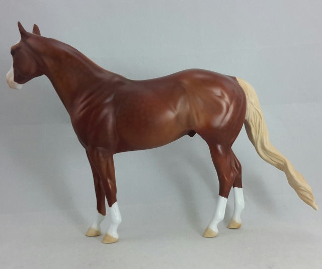 KIP - OOAK Dapple Sorrel Stock Horse