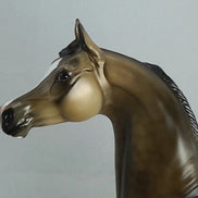 ACORN - OOAK Bay Arabian Model Horse