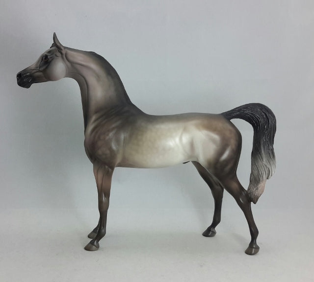 STARLIGHT - OOAK Dapple Gray Arabian