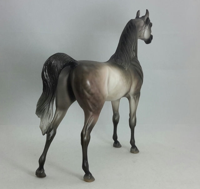 STARLIGHT - OOAK Dapple Gray Arabian
