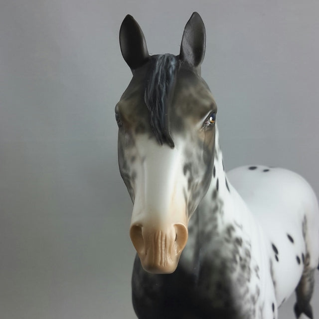 THUNDERHEAD - OOAK Appaloosa Standing Draft Horse