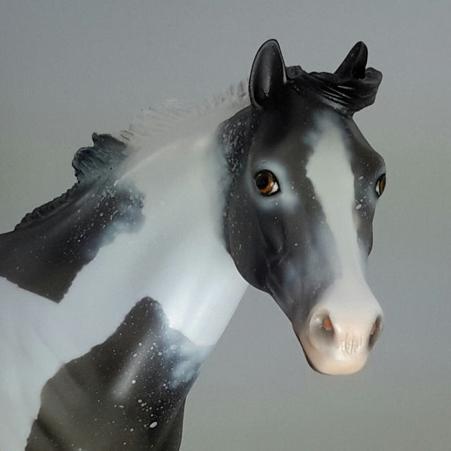 MR. JACK FROST - OOAK Blue Roan Tobiano