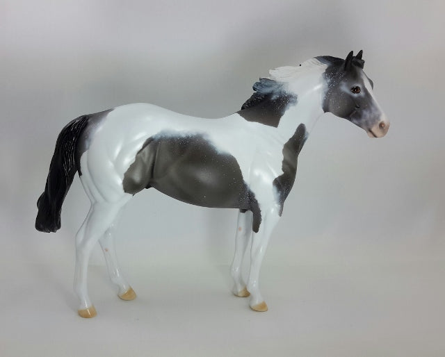 MR. JACK FROST - OOAK Blue Roan Tobiano