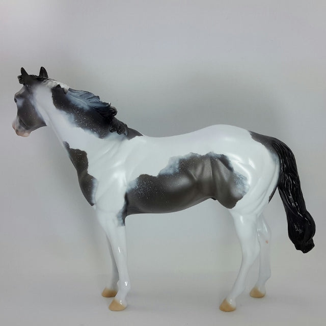 MR. JACK FROST - OOAK Blue Roan Tobiano