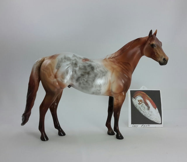 BROWN LACE - OOAK Decorator Lace Agate Stock Horse