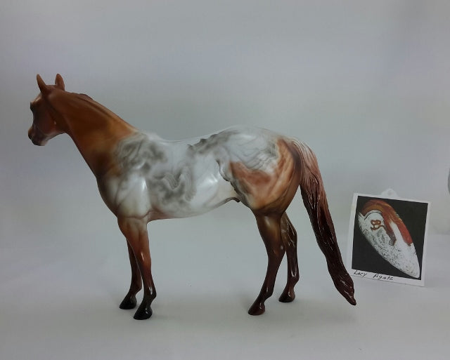 BROWN LACE - OOAK Decorator Lace Agate Stock Horse