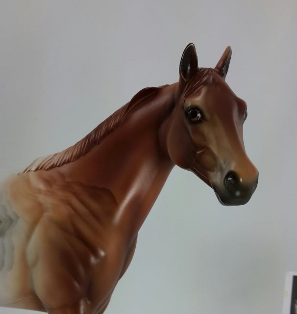 BROWN LACE - OOAK Decorator Lace Agate Stock Horse