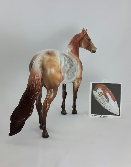 BROWN LACE - OOAK Decorator Lace Agate Stock Horse