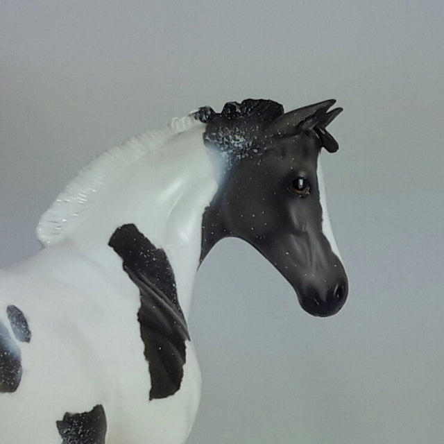 CLARINE - OOAK Blue Roan Weanling Paint 11/14