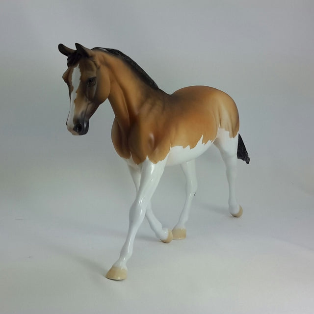 VIVIETTE - OOAK Sooty Buckskin Palouse  11/14