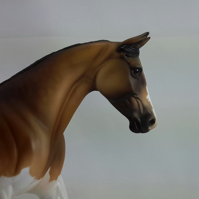 VIVIETTE - OOAK Sooty Buckskin Palouse  11/14