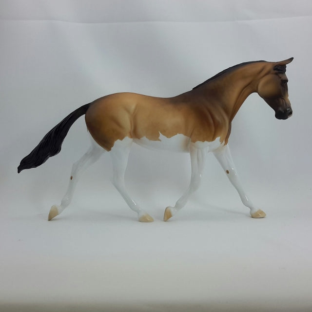 VIVIETTE - OOAK Sooty Buckskin Palouse  11/14