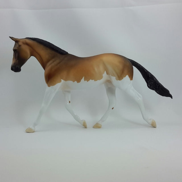 VIVIETTE - OOAK Sooty Buckskin Palouse  11/14