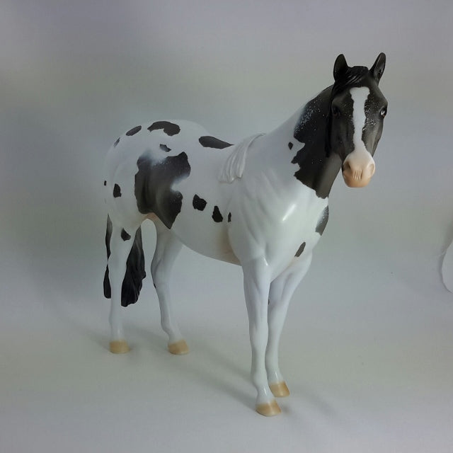 TIMOTHY - OOAK Blue Roan Stock Horse 11/14