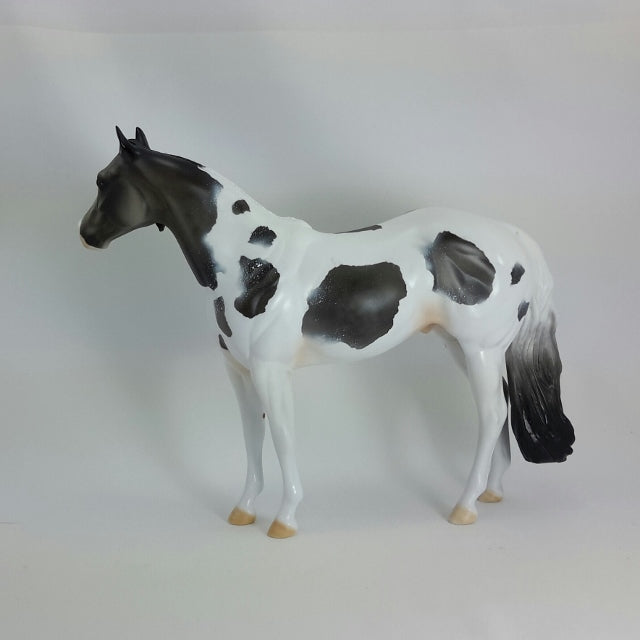 TIMOTHY - OOAK Blue Roan Stock Horse 11/14