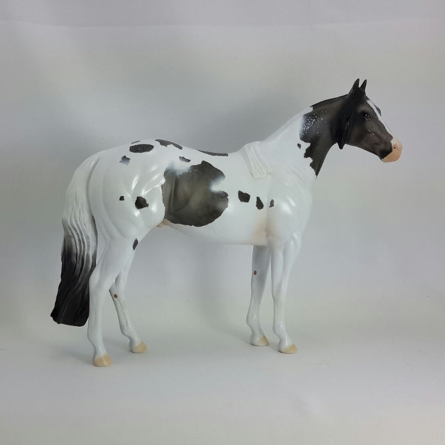 TIMOTHY - OOAK Blue Roan Stock Horse 11/14