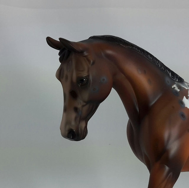 BERNADINE - OOAK Appaloosa Palouse 11/14