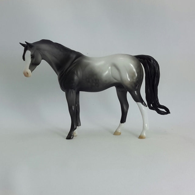 CORALEE - OOAK Dapple Gray Arabian Pebbles Model Horse - 11/14