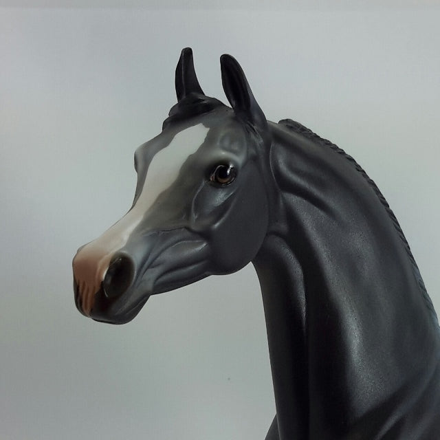 SEBASTIAN - OOAK Gray Arabian 11/14