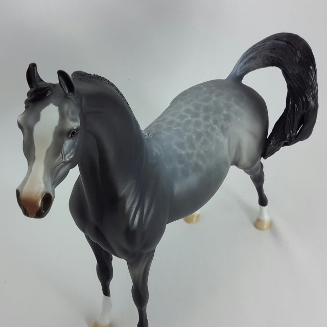 SEBASTIAN - OOAK Gray Arabian 11/14